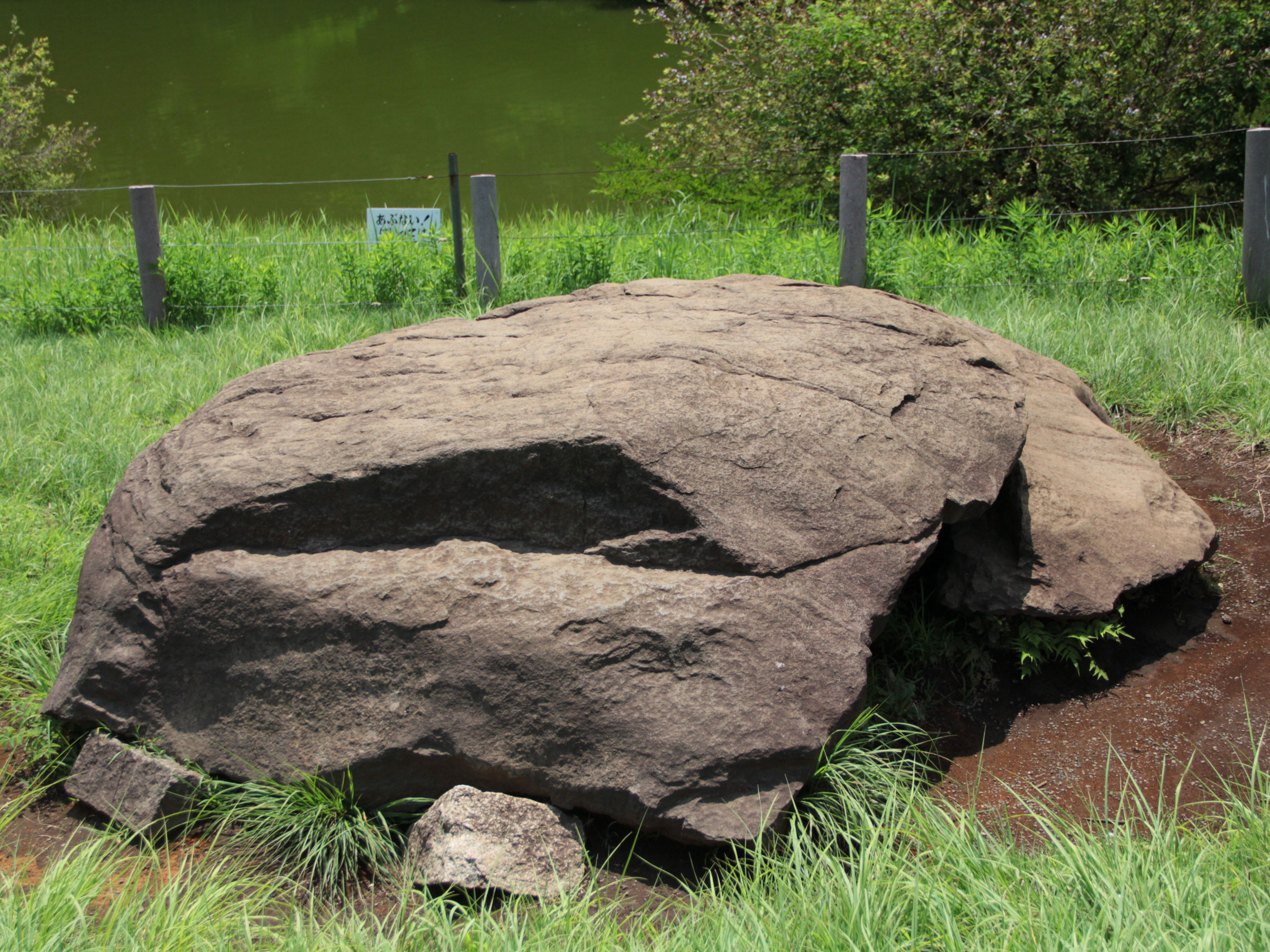 明治神宮の亀石