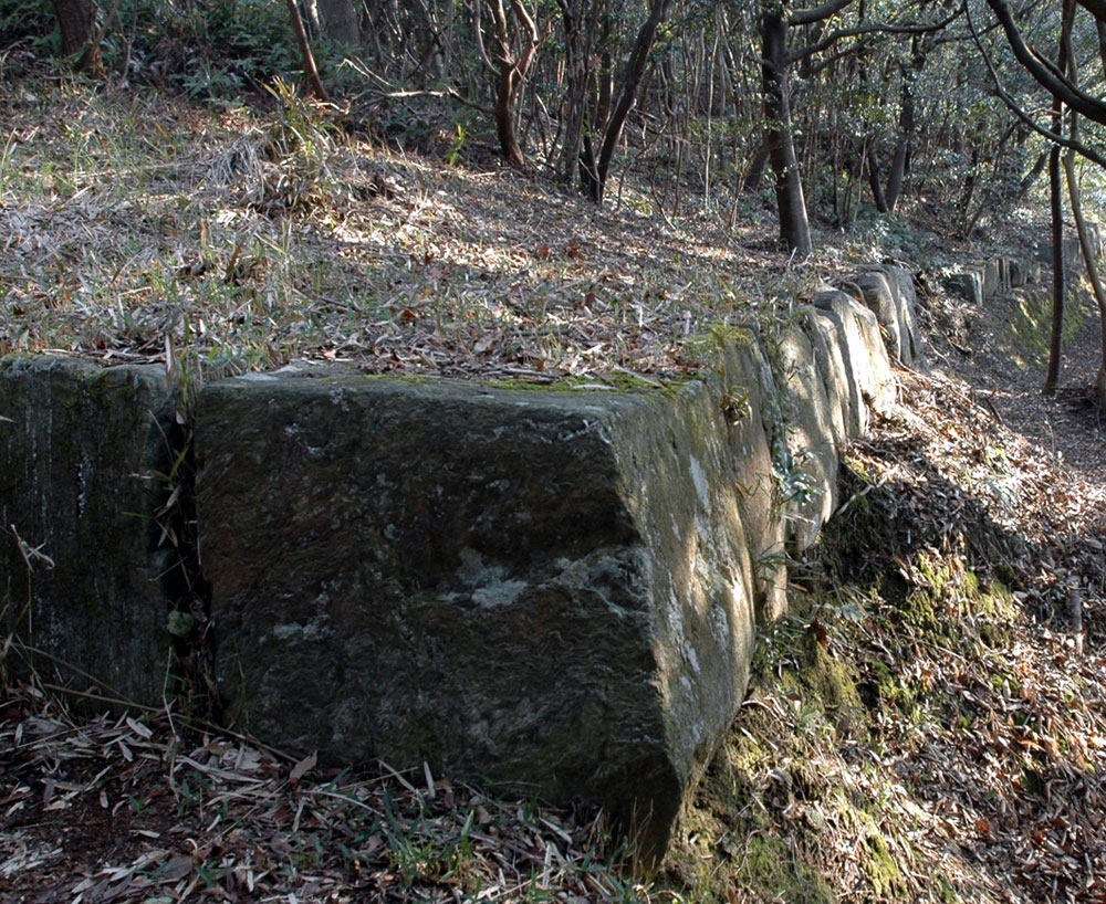 高良大社 神籠石