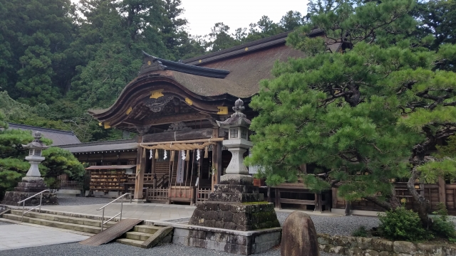 静岡】小國神社｜「古代の森」と謳われる約30万坪の御神域 浄化の