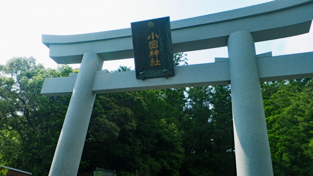 静岡】小國神社｜「古代の森」と謳われる約30万坪の御神域 浄化の